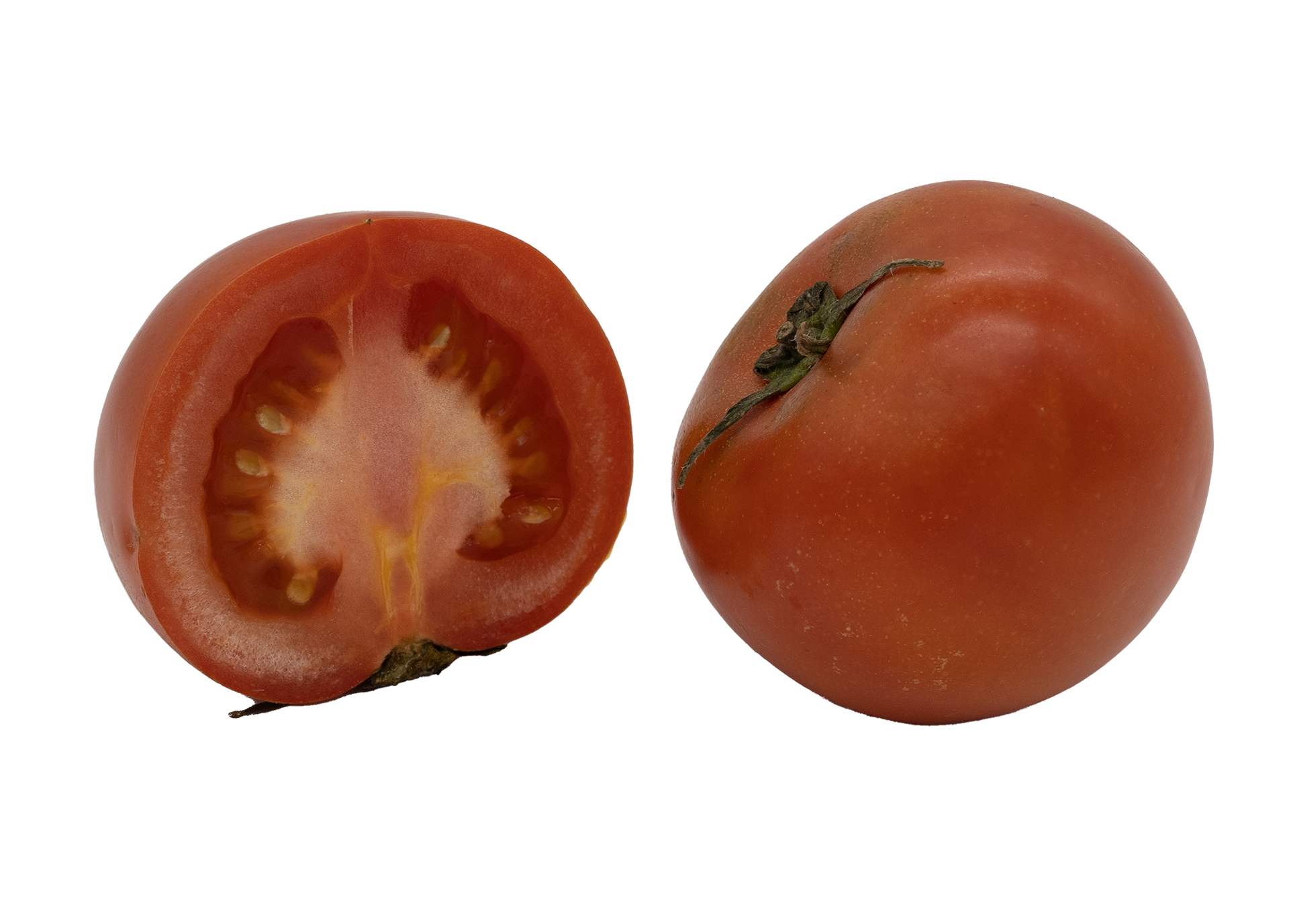 80301토마토(일반)221026C1920V001.png