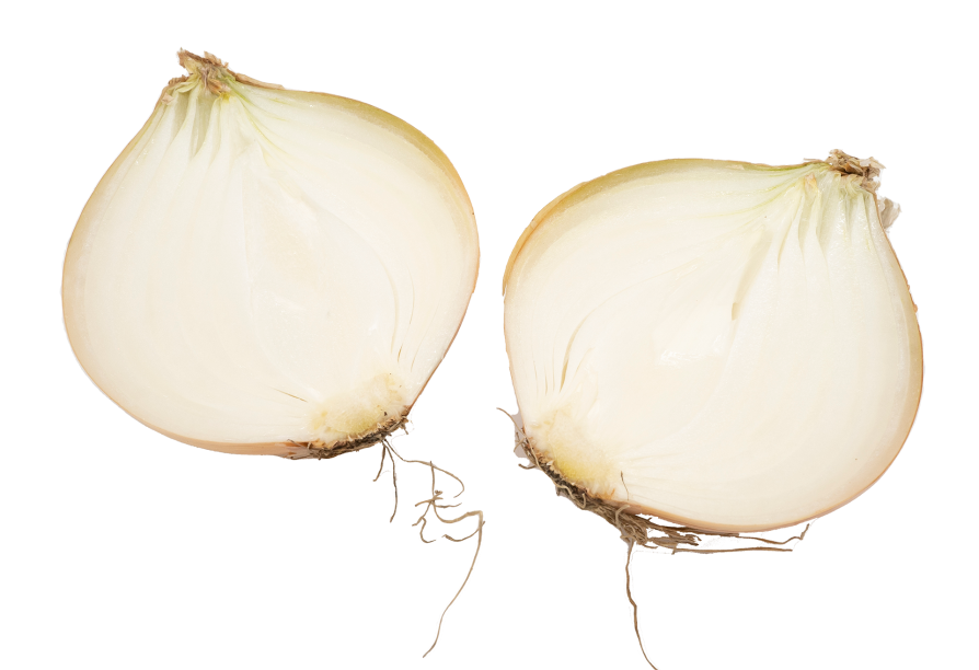 120103저장양파221020S1920V001 copy.png