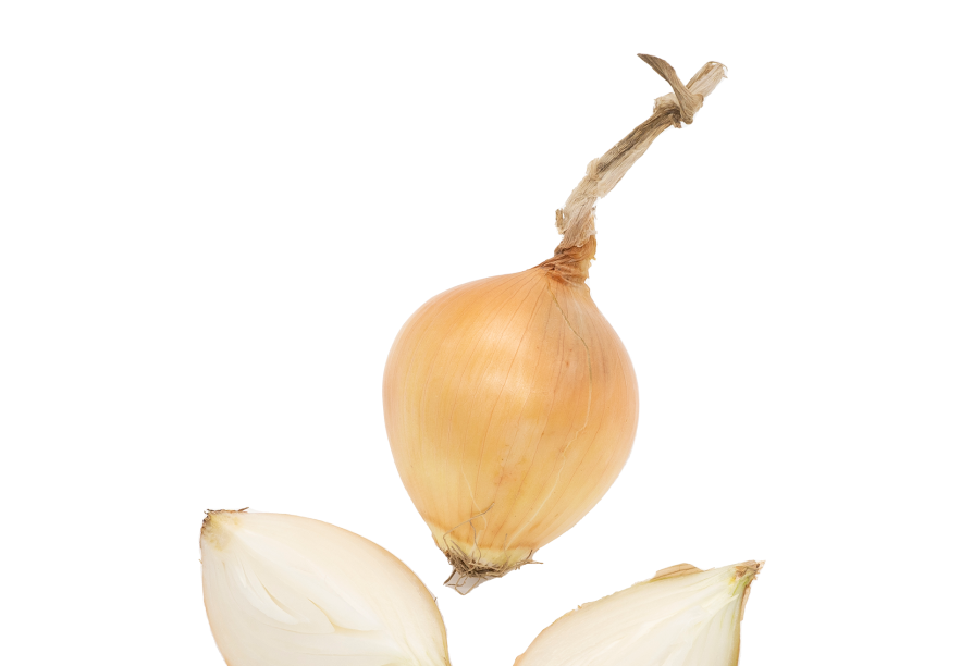 120103저장양파221020C1920V001 copy.png